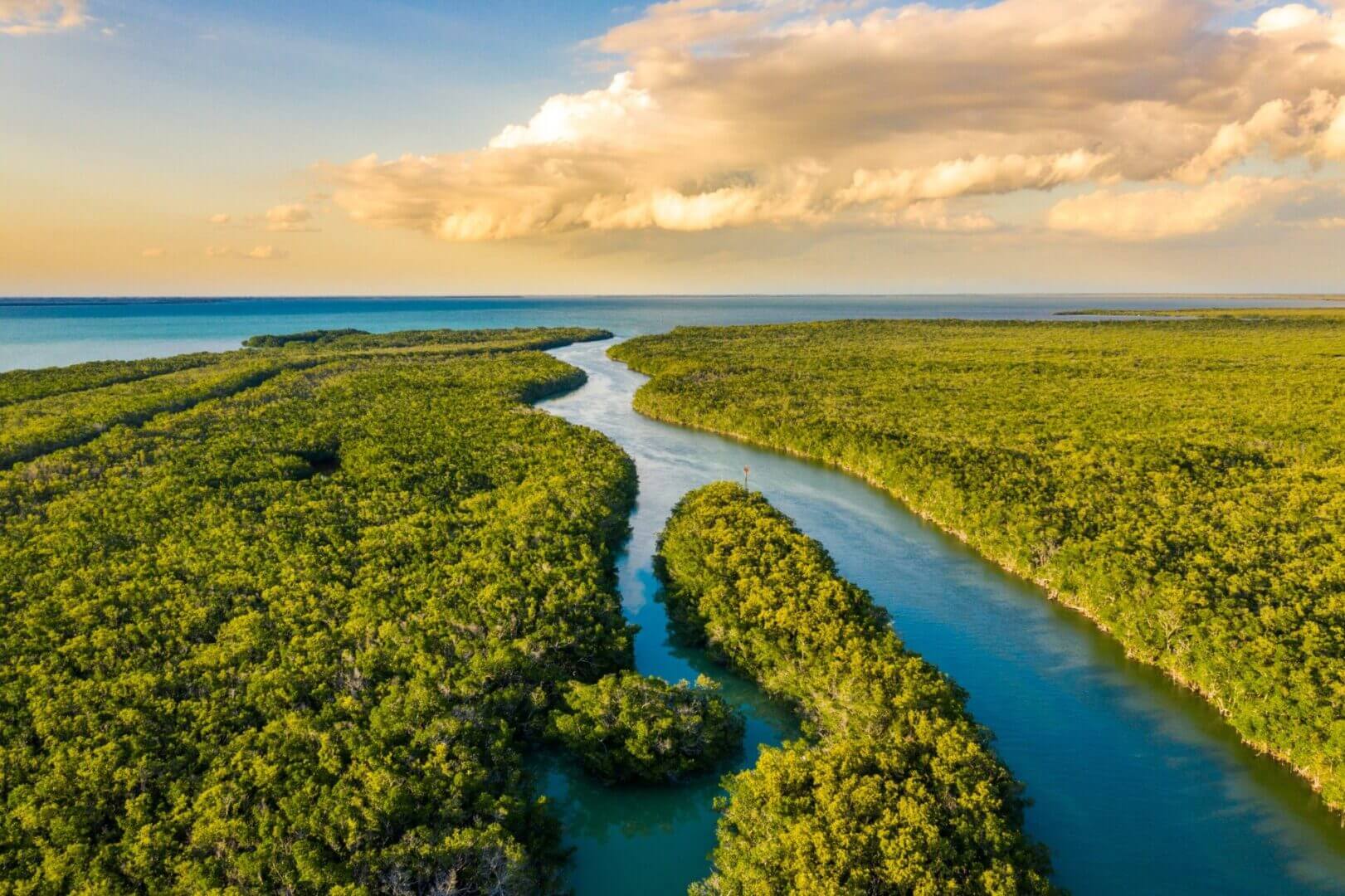 A winding river flows through dense green forests under a cloudy sky.