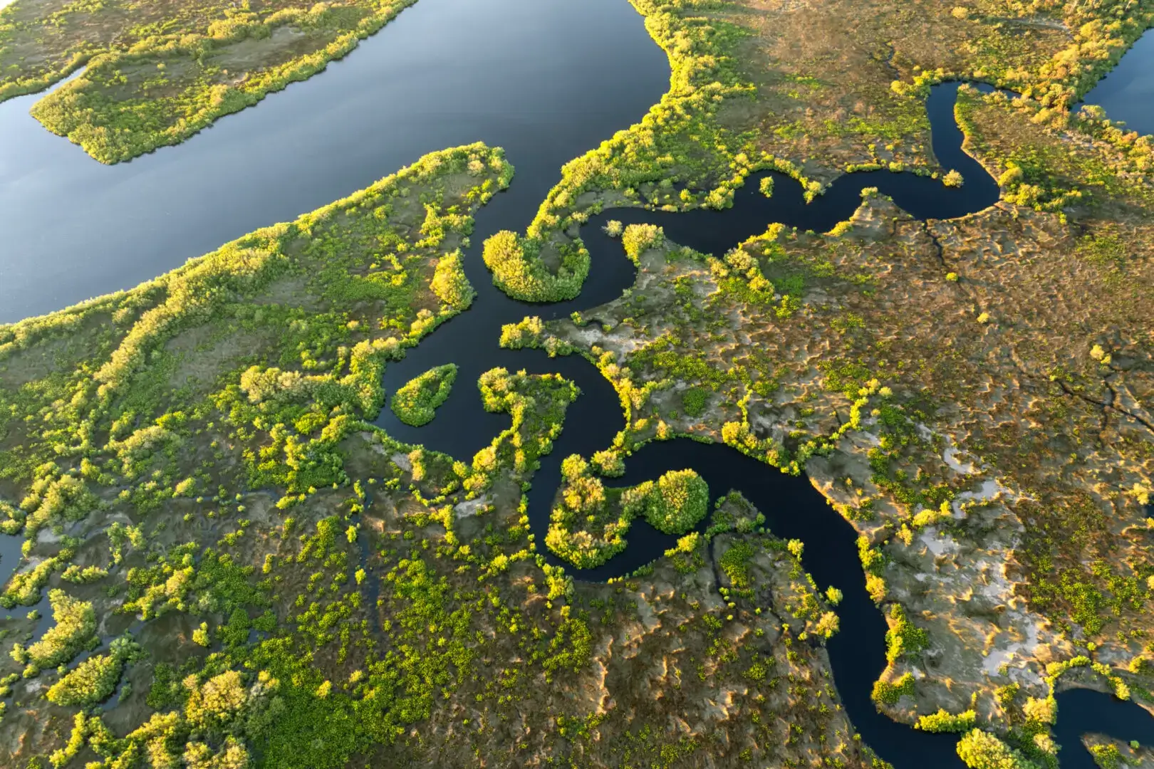 Aerial view of a winding river flowing through lush green wetlands.
